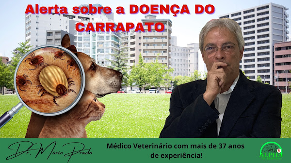 Foto 2 Alpha - Hospital Veterinário 24h