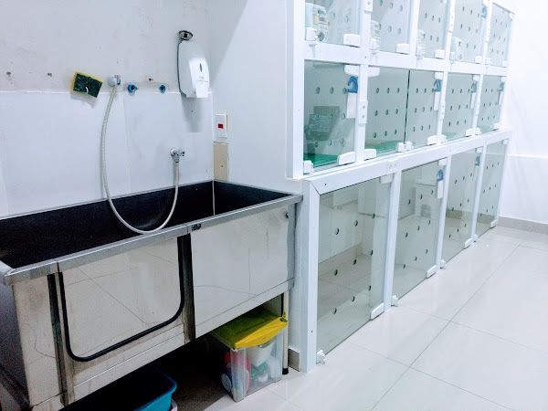 Foto 2 Vivaz Hospital Veterinário 24h