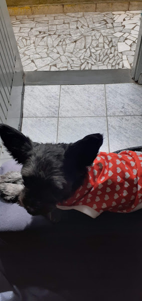 Foto 3 Pet Shop Rações Renata - Mãe dos Homens