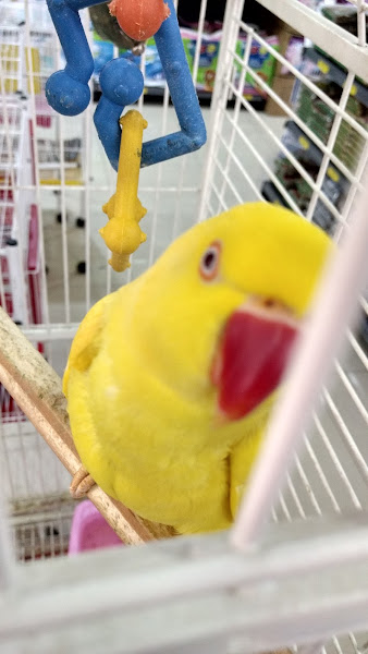 Foto 2 Pet Shop Rações Renata - Timóteo Penteado