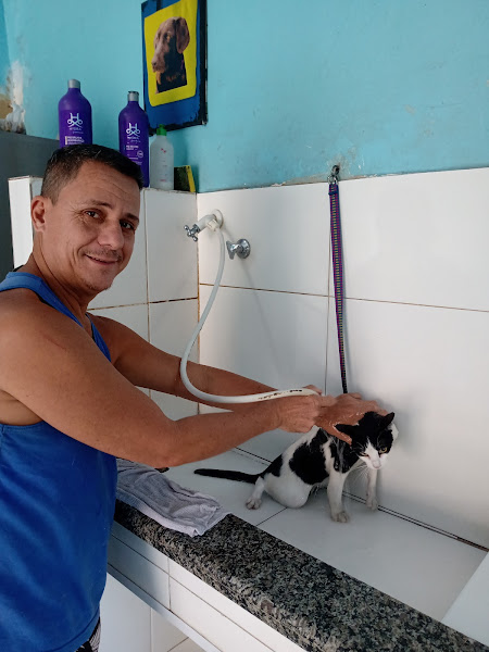 Foto 3 Banho E Tosa Love Pet