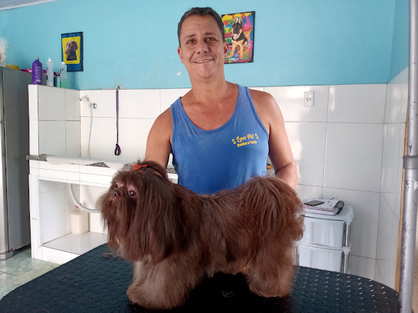 Foto 4 Banho E Tosa Love Pet