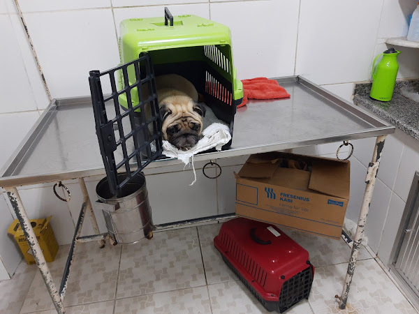 Preserve Veterinária 25 de Agosto