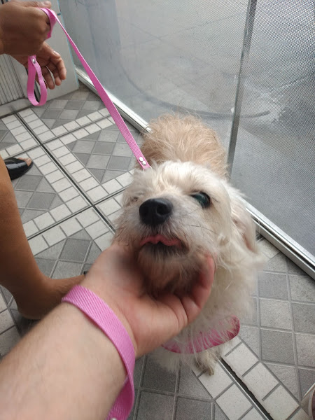 Foto 2 Veterinária Can & Fel