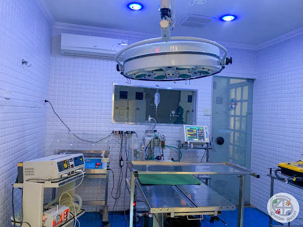 Foto 2 Veterinária Quatro Patas (Bairro Centenário Caxias)