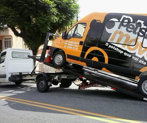 Foto 6 Brasil Guinchos