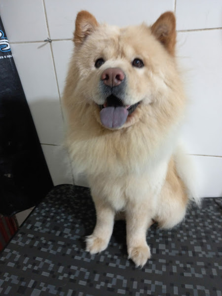 Foto 1 Pontinha da Pata