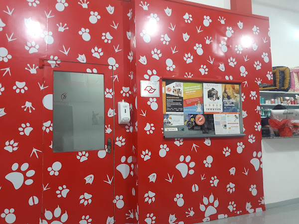 Foto 5 Reino Animal Foto 5 Reino Animal