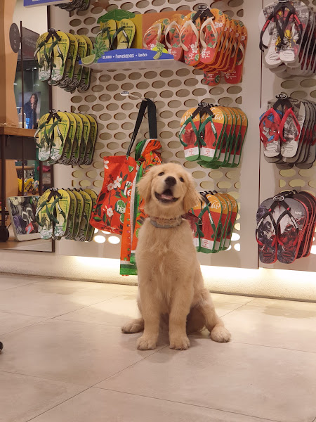 Foto 4 Havaianas Shopping Eldorado