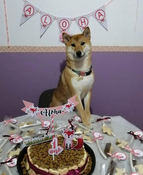 Foto 2 Espaço Confiável e Seguro Hotel e Creche Vila dos Pets ZN