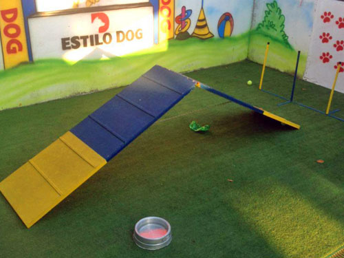 Estilo Dog Educação Canina | Santos