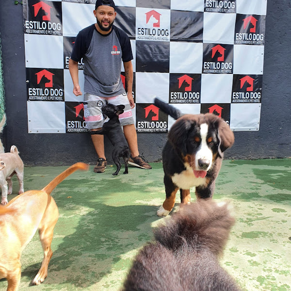 Foto 1 Estilo Dog Educação Canina | Santos