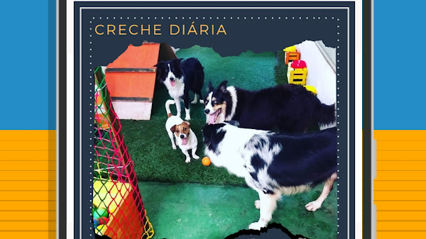 BK Adestramento e Hospedagem de cães