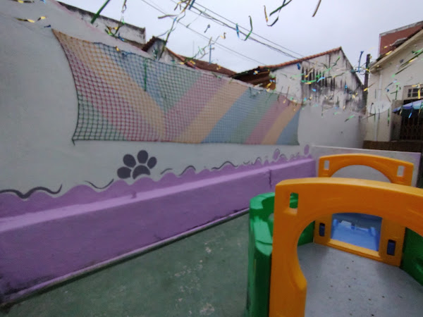 Foto 1 BK Adestramento e Hospedagem de cães