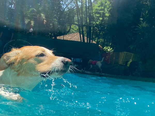 Riopet Gávea Riopet Gávea