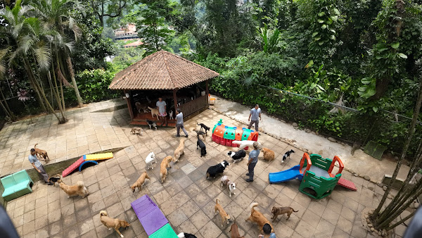 Foto 1 Riopet Gávea