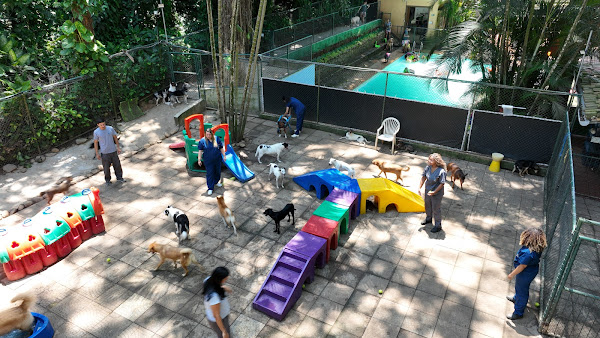 Foto 2 Riopet Gávea