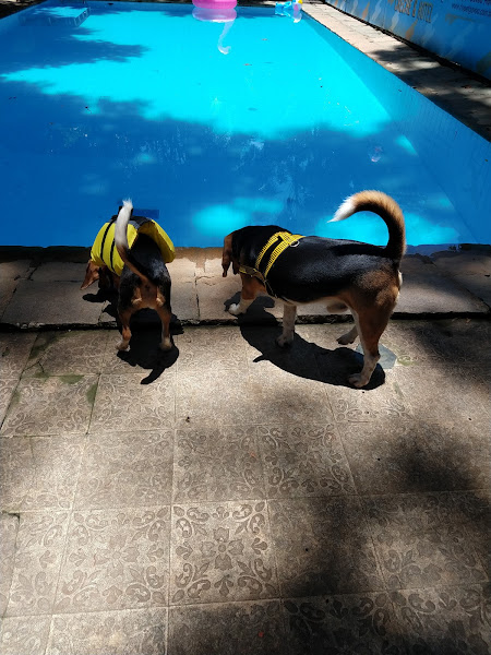 Foto 4 Riopet Gávea