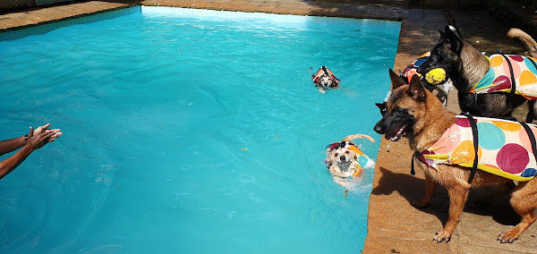 Foto 5 Riopet Gávea