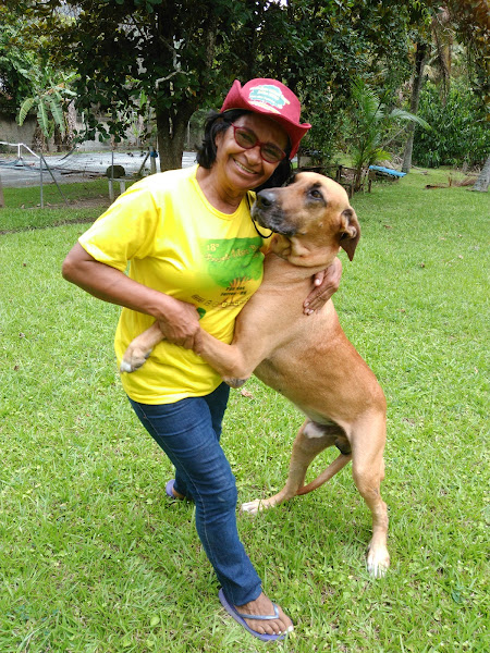 Foto 1 Hotel Canil Algarve