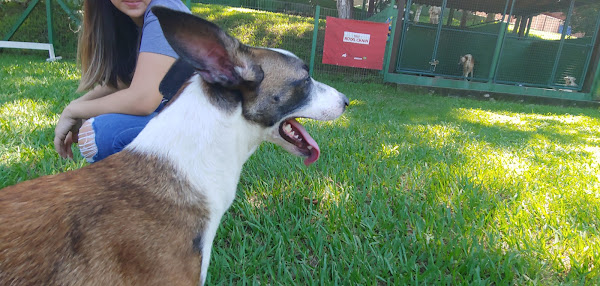 Foto 1 Spa Isla Bonita