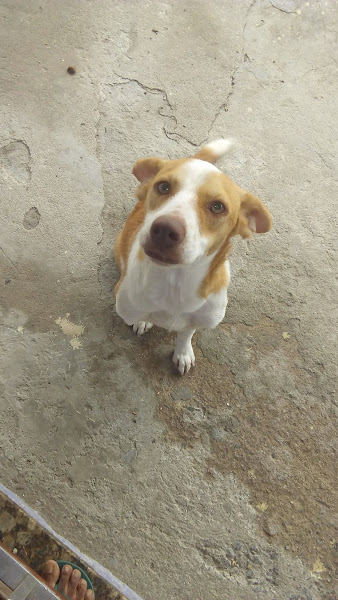 Foto 2 Spa Isla Bonita