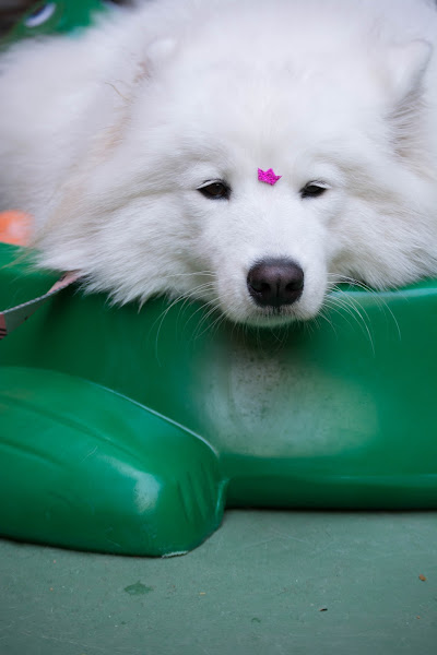 Foto 1 Educãodo - Unidade Sagrada Família