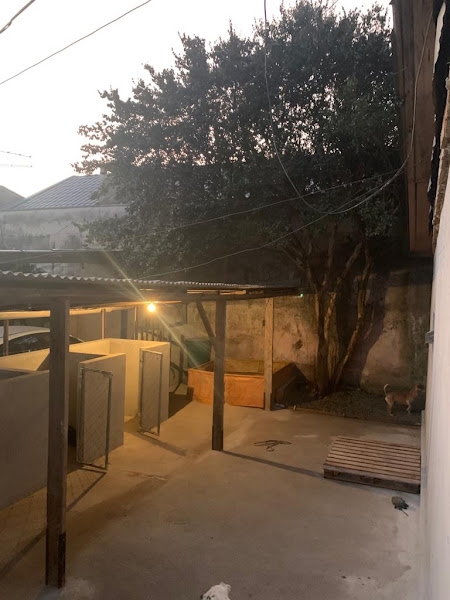 Foto 2 Recanto dos Cães Foto 2 Recanto dos Cães