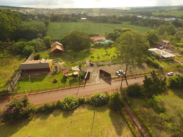 Hotel / Creche para cachorros e Adestramento Paraíso do Mascote