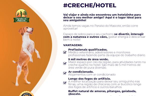 Foto 3 Hotel / Creche para cachorros e Adestramento Paraíso do Mascote