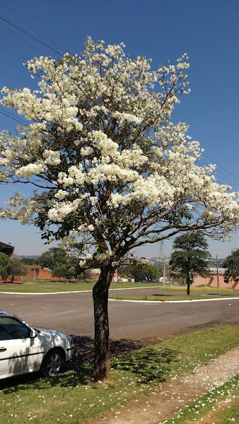 Foto 2 P&G Moveis Planejados Foto 2 P&G Moveis Planejados