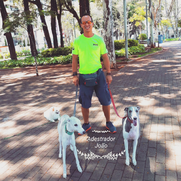 Foto 1 QG dos DOG's Hotel Dog