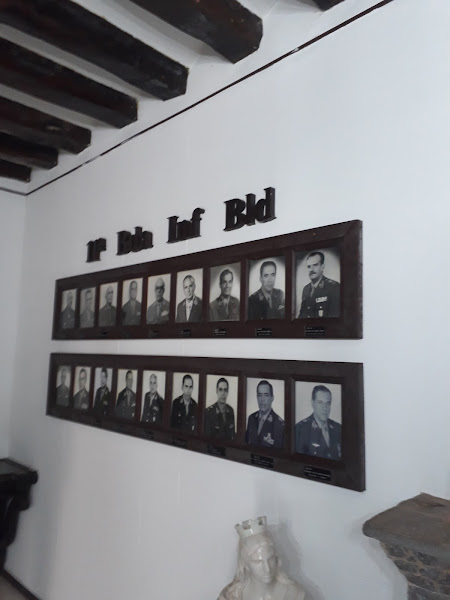 Tigre Mendes Planejados