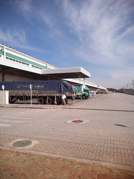 Mestre Marceneiro - Matriz