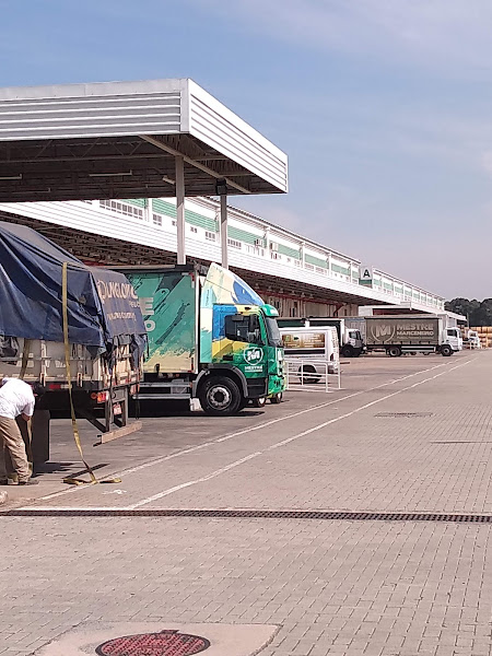 Foto 1 Mestre Marceneiro - Matriz