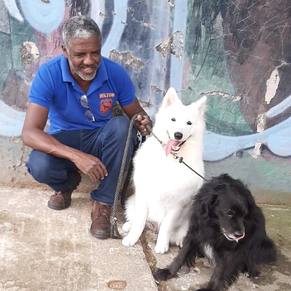 Foto 2 Hotelzinho e Adestramento de cães Anjos da Guarda