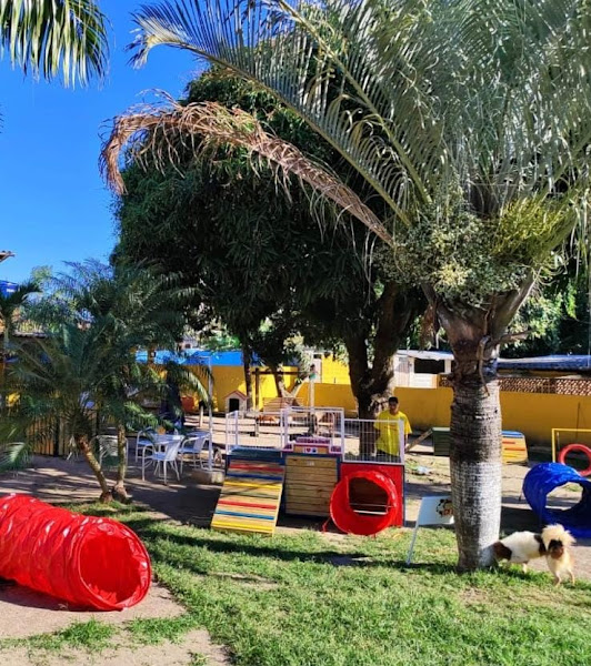 Nosso Lar Spa Pet - Hotéis para Cães