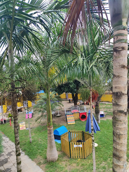 Foto 2 Nosso Lar Spa Pet - Hotéis para Cães Foto 2 Nosso Lar Spa Pet - Hotéis para Cães