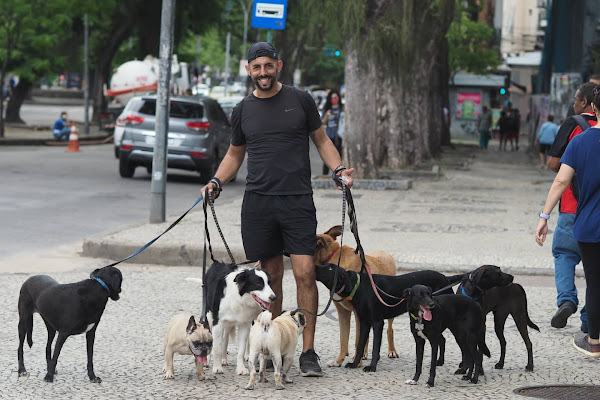 Hospedagem para cães