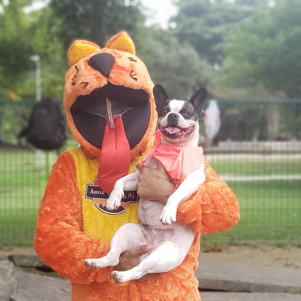 Foto 3 Hospedagem para cães Foto 3 Hospedagem para cães