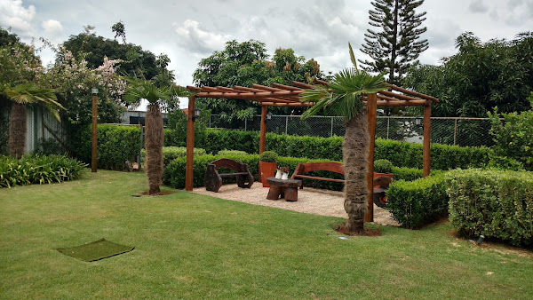 Foto 4 Domenico Advogados