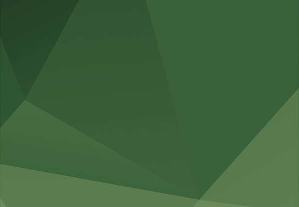 Amaral, Yazbek Advogados