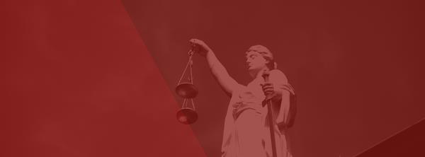 Natasha Hasse - Advogada - OAB/PR 83.317