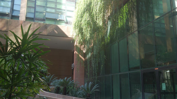 Emerenciano Baggio e Associados Advogados