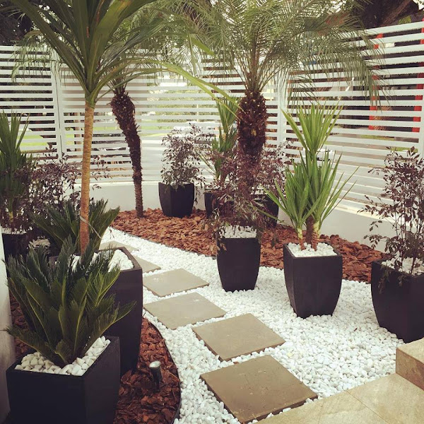 Michel Rossi E Cariani Advogados Associados