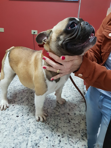 Hotel Veterinário Luciana Guimarães