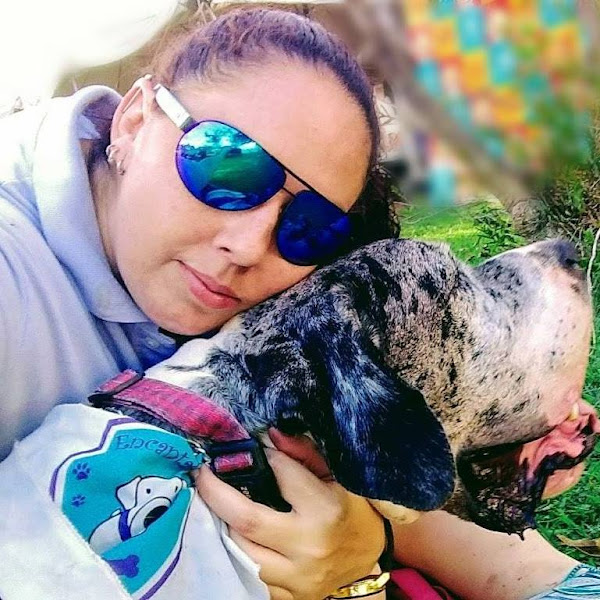 Encanta Cão - Hotelzinho e Creche para cães Encanta Cão - Hotelzinho e Creche para cães