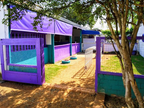 Foto 2 Encanta Cão - Hotelzinho e Creche para cães