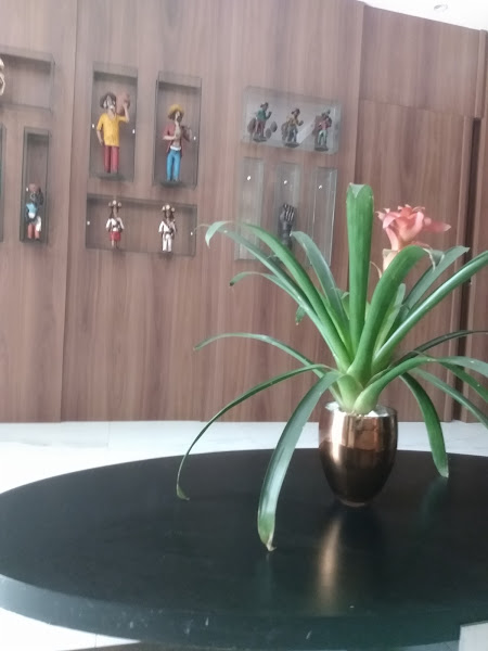 Foto 3 FERREIRA GOMES & PONTE ADVOCACIA