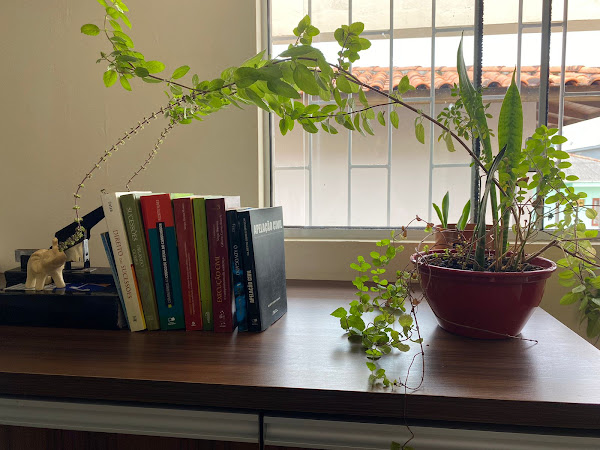 Foto 2 Kneip Assessoria e Consultoria Jurídica - Advogados